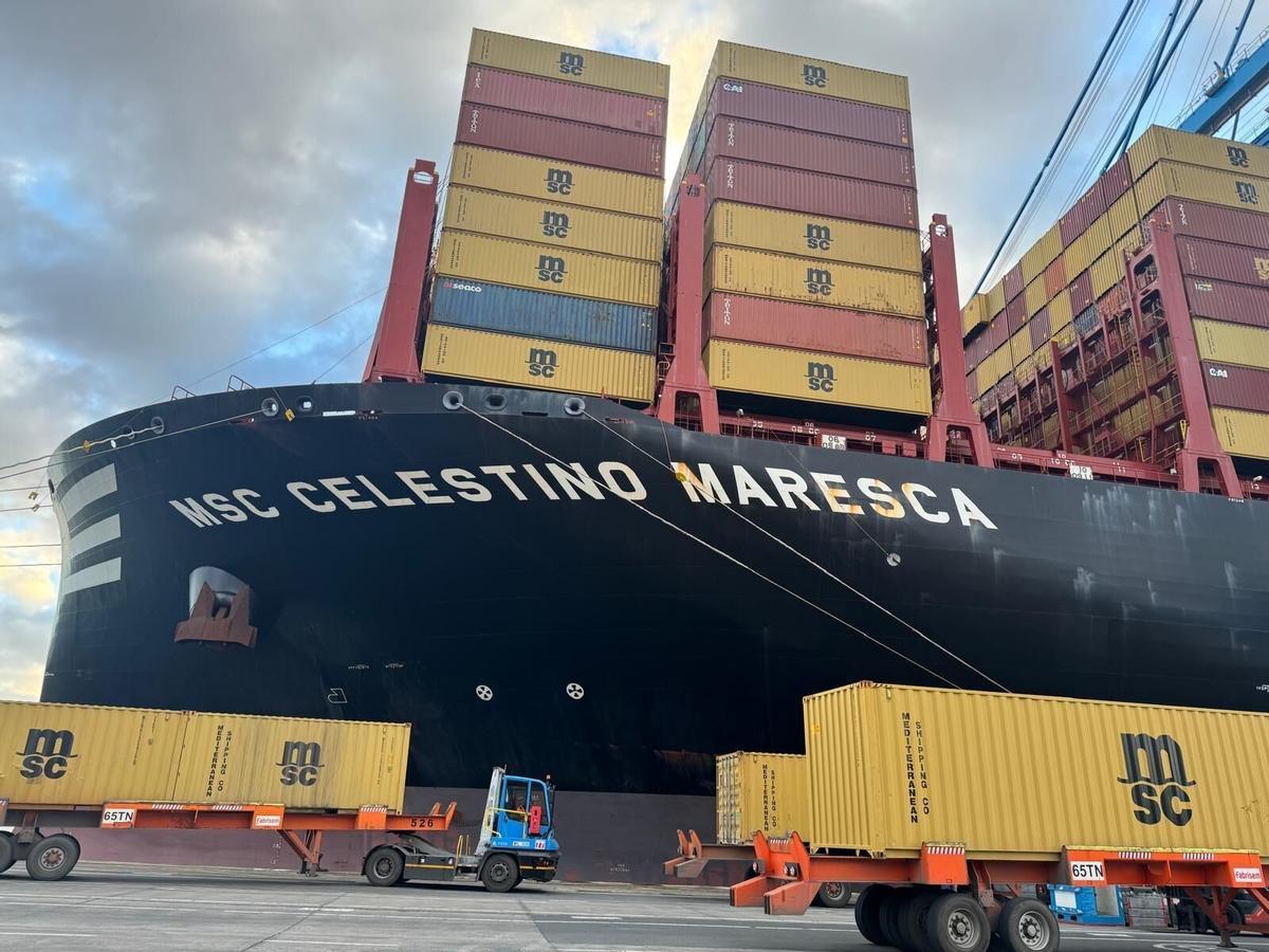 El 'Celestino Maresca' descargando contenedores en la terminal de Opcsa