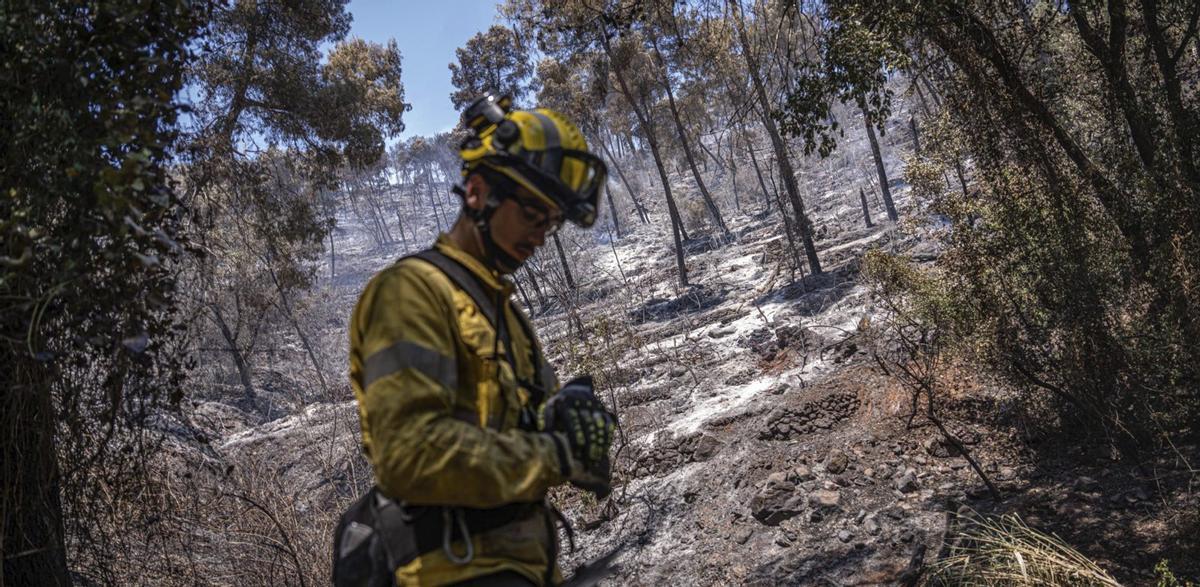 Els bombers confien a estabilitzar avui el gran incendi de Sentmenat
