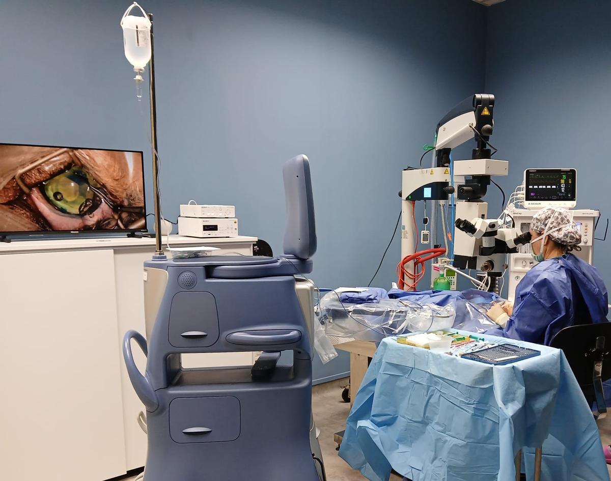 Visión Veterinaria.