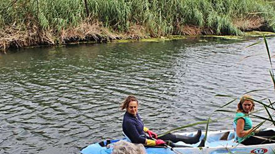 Sin rastro del alga invasora en Can Figuera | J.CANUT