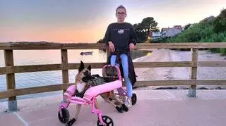 Una silla de ruedas fabricada con una tumbona de playa para Samba, la perrita 'Fast and Furious'