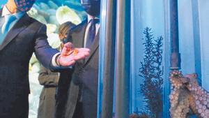 El futur de l’aqüicultura fet present