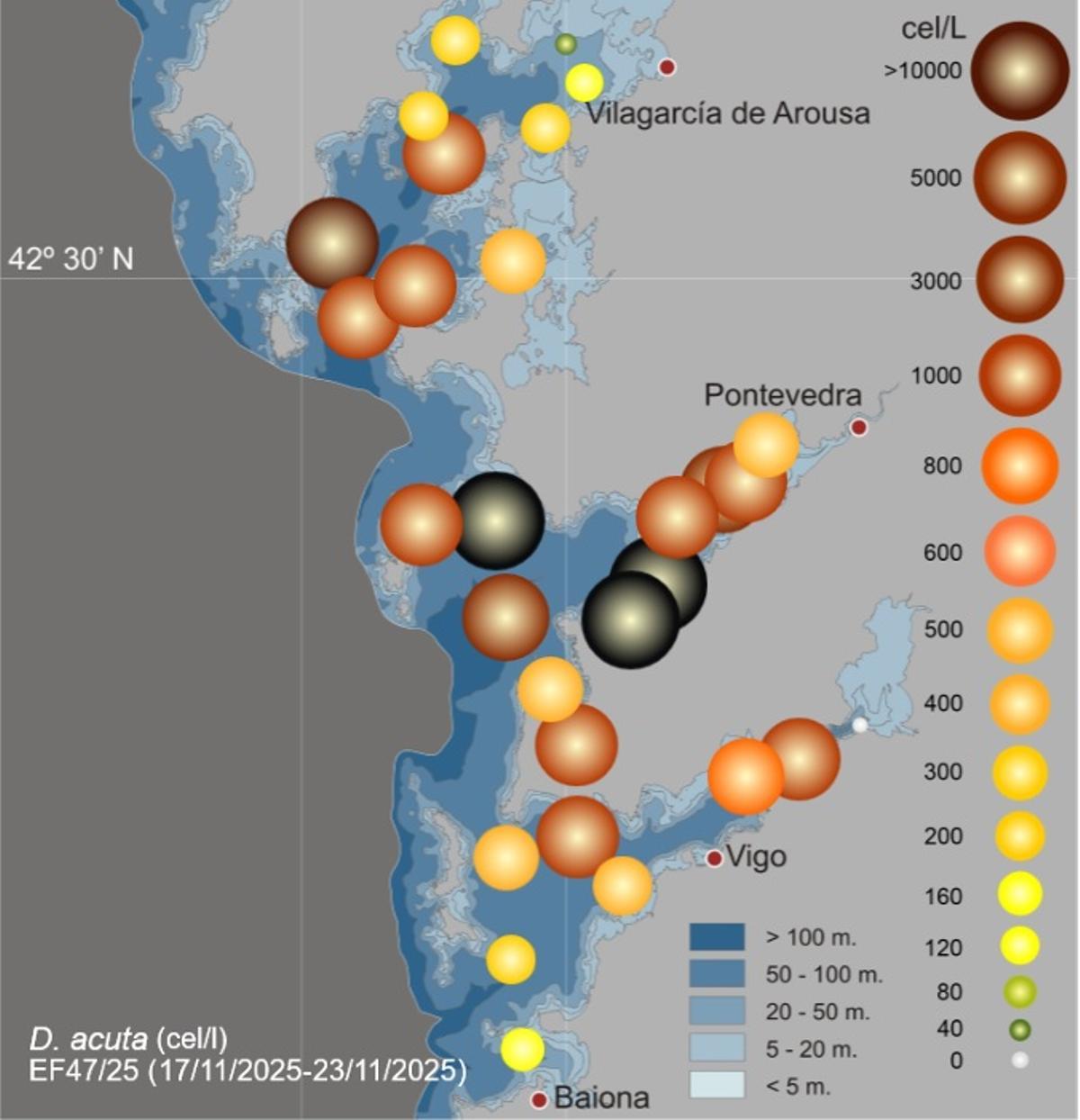 Mapa que muestra la incidencia de los dinoflagelados en las rías de Vigo y Pontevedra.