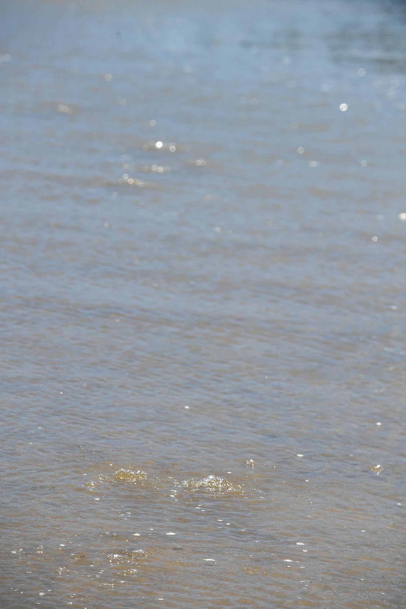 Mareas del Pino en las Alcaravaneras