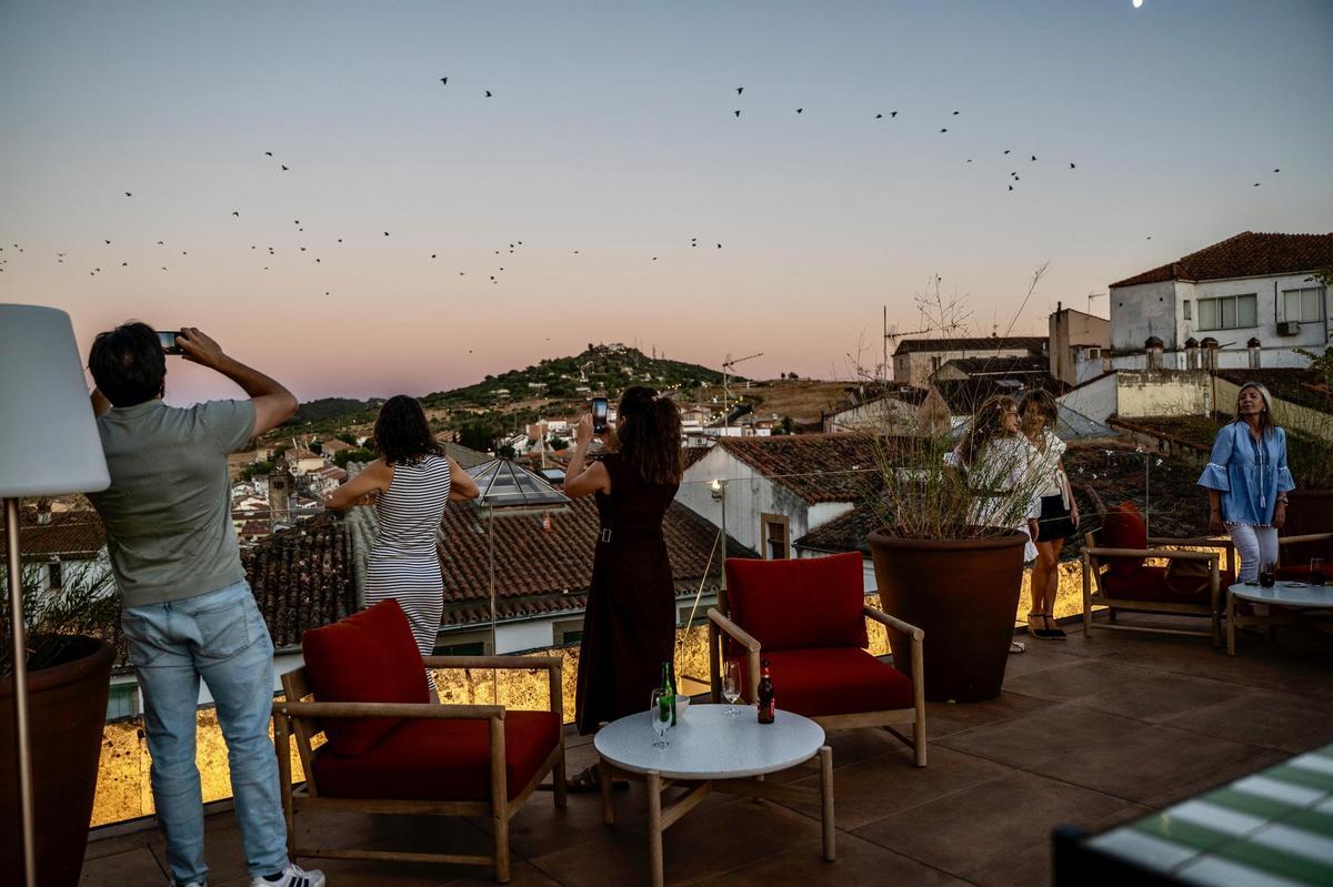 La terraza panorámica se abrió al público a finales del pasado verano de 2025.
