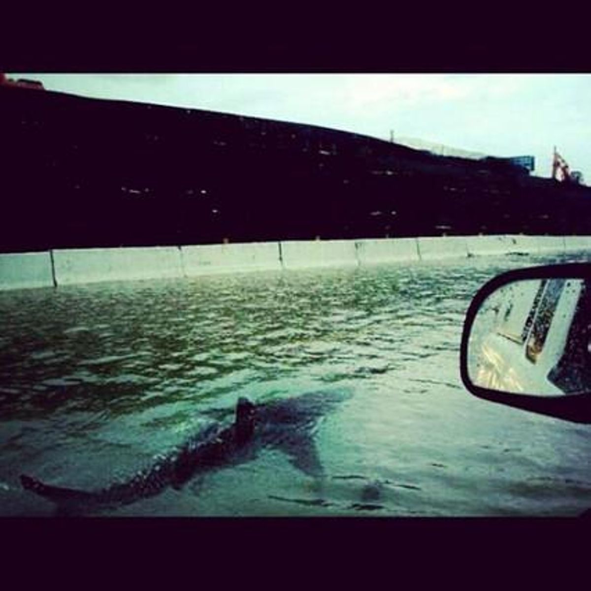 Un tauró que neda pels carrers inundats de Nova York és possible gràcies a Photoshop.