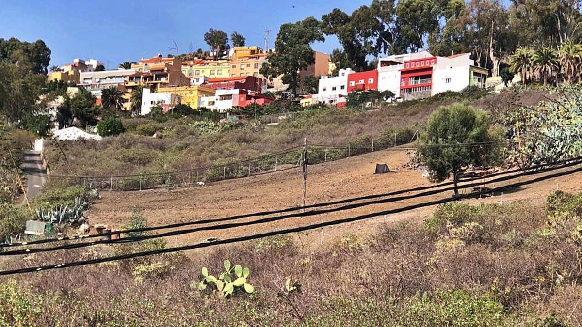 Un vecino denuncia la instalación de una finca en un terreno protegido de Tafira