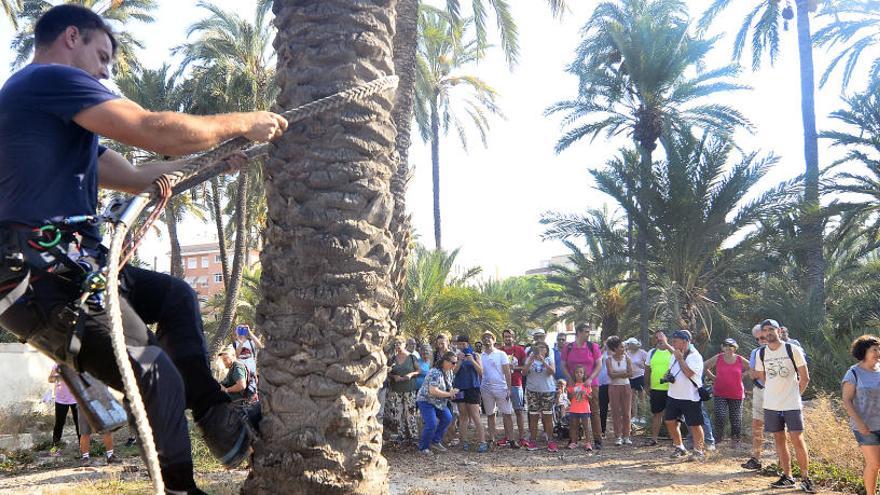 Acto institucional y pintura al aire libre para conmemorar el Patrimonio del Palmeral