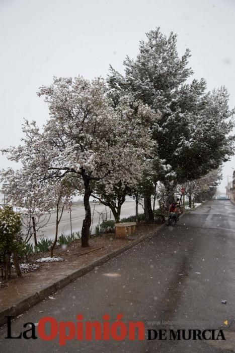 Nieva en las pedanías altas de la comarca del Noro