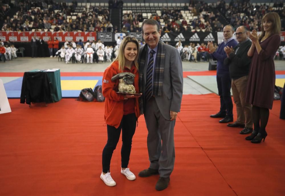 26ª edición de la Fiesta del Judo Infantil