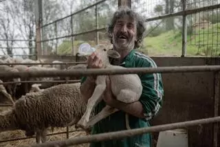 Netflix revela las primeras imágenes de ‘Animal Salvaje'