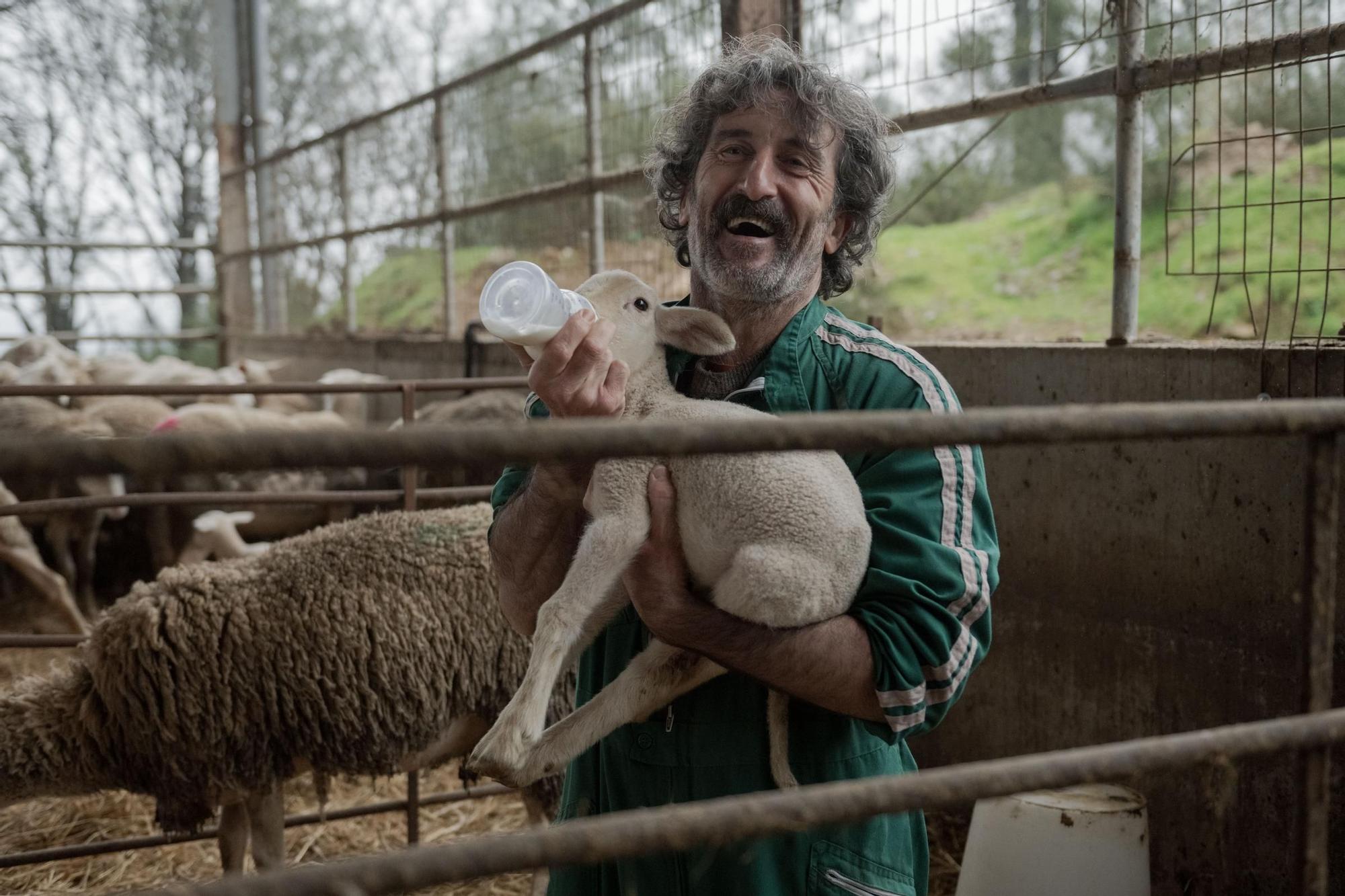 Netflix publica las primeras imágenes de ‘Animal Salvaje’, comedia protagonizada por Luis Zahera y grabada en Santiago y alrededores