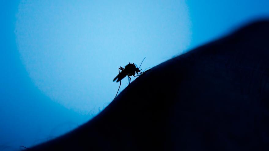 El aparato de calor de Lidl que elimina los mosquitos del hogar: es portátil y pequeño