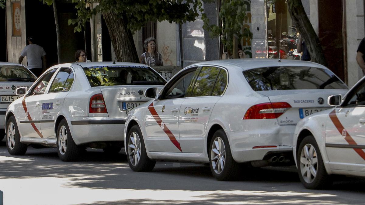 Taxis en una de las paradas del centro de Cáceres.