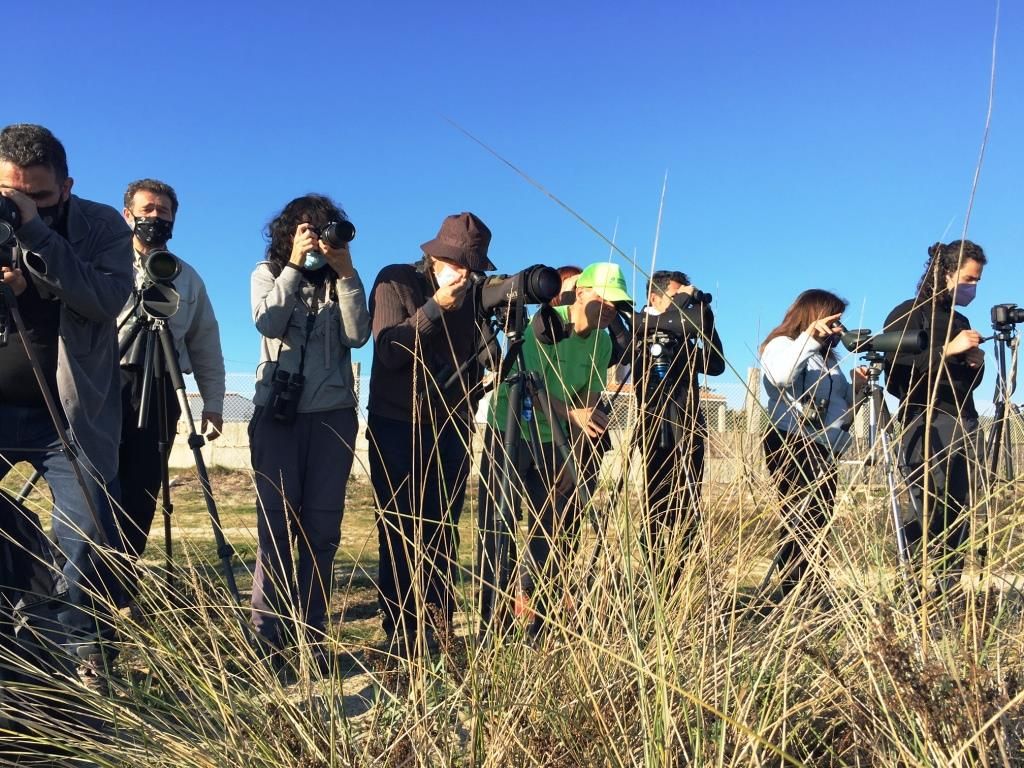 Observación de aves en Corrubedo.