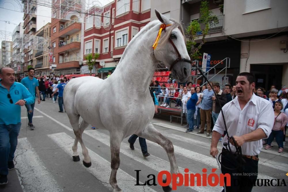 Caballos del Vino: Concurso morfológico (salida Pl