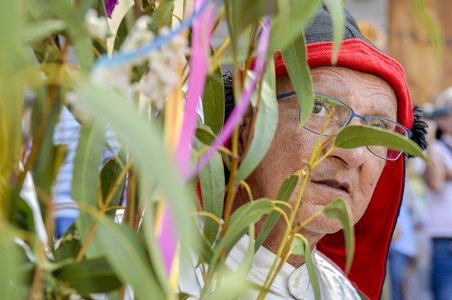 Procesión y romería de la fiesta de Las Marías