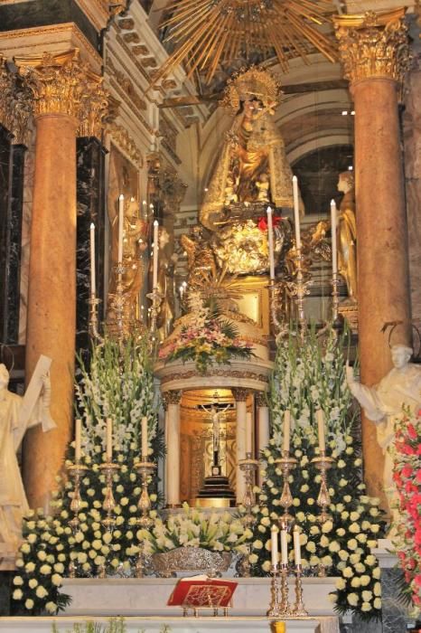 Los floristas decoran la Basílica de la Virgen de los Desamparados