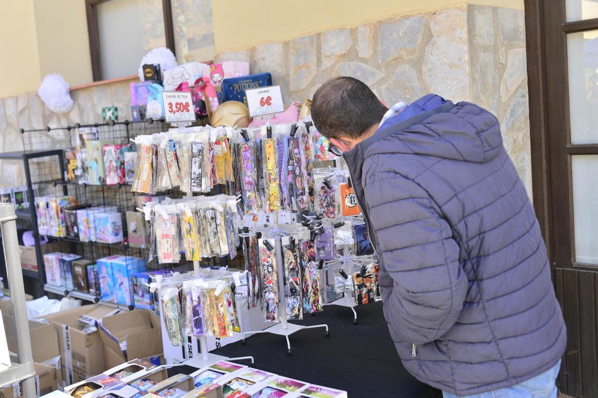 El Japan Tour llega a Elche
