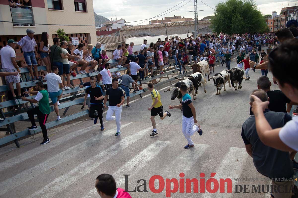 Primer encierro de la Feria del Arroz de Calasparra