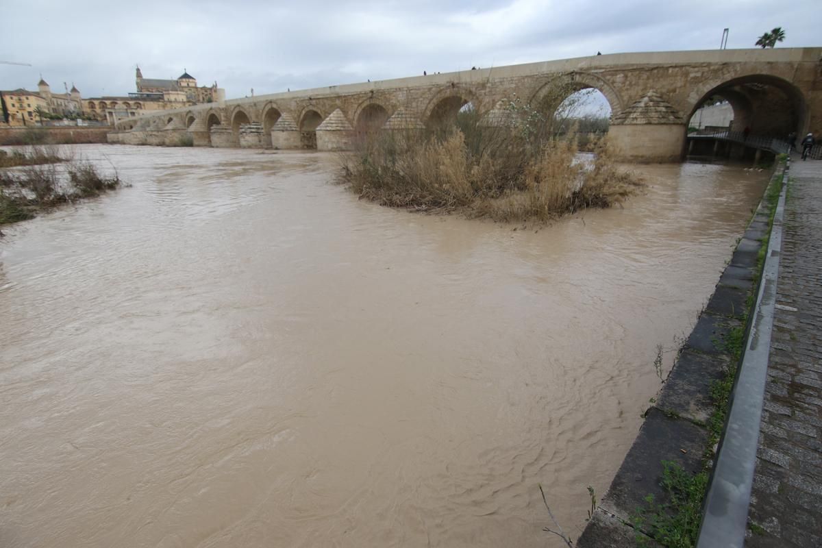 La lluvia en Córdoba deja una decena de incidencias