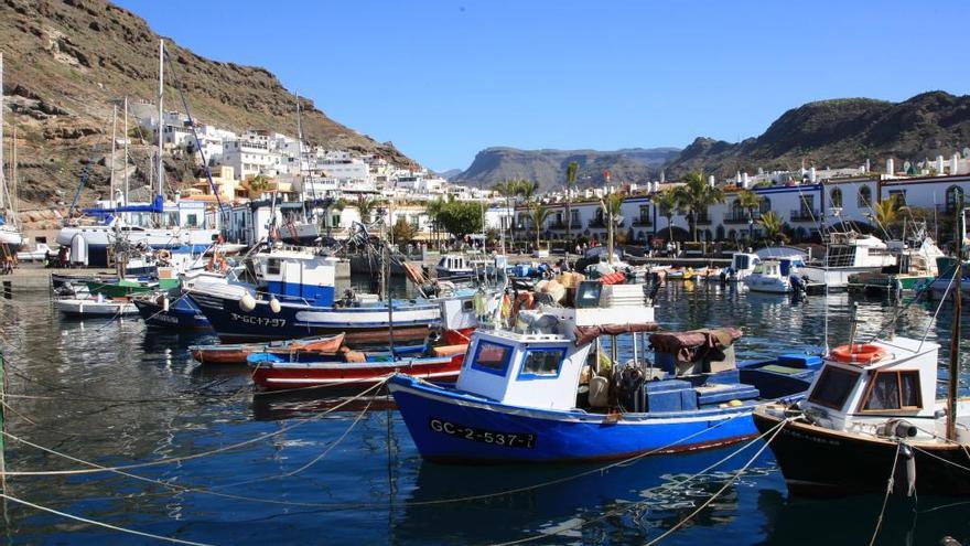 Flota pesquera de la cofradía de Mogán.