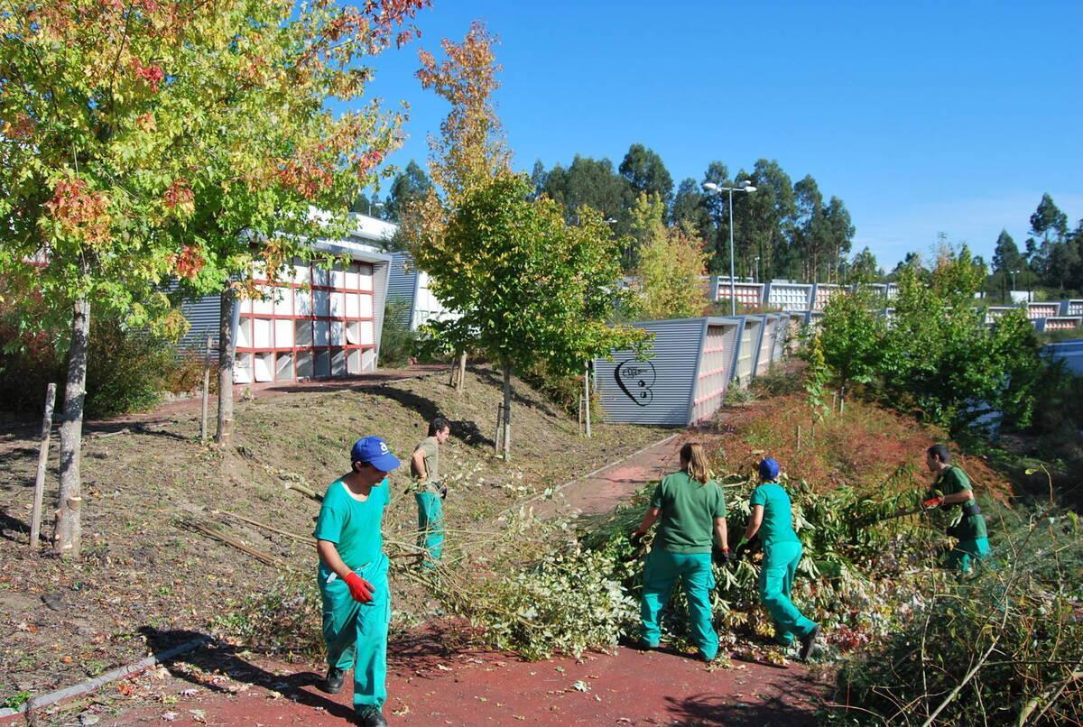 Imagen de archivo de labores de desbroce y limpieza en el cementerio municipal de Ames