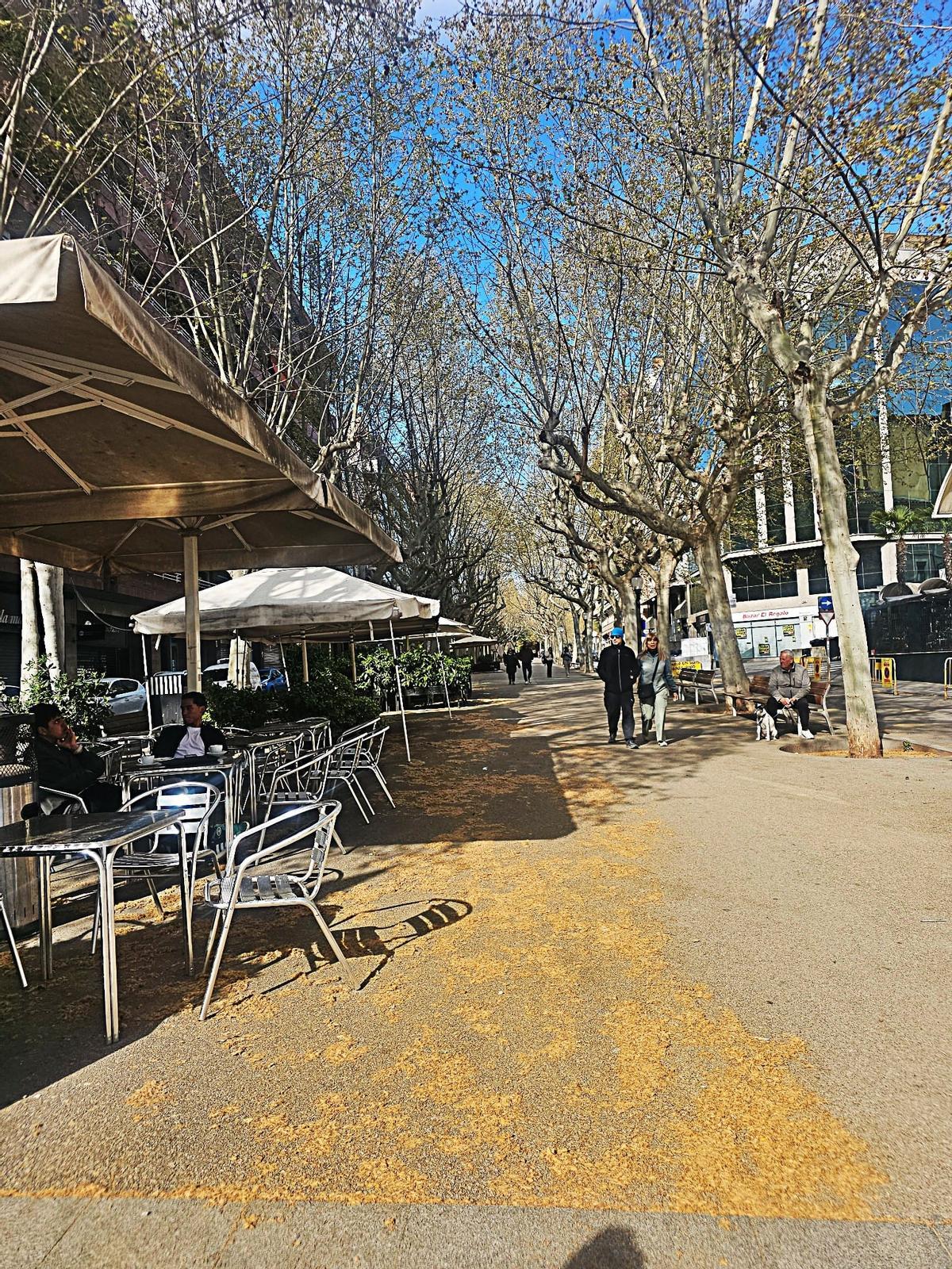 Aspecte del passeig de Pere III de Manresa amb el terra ple de pol·len