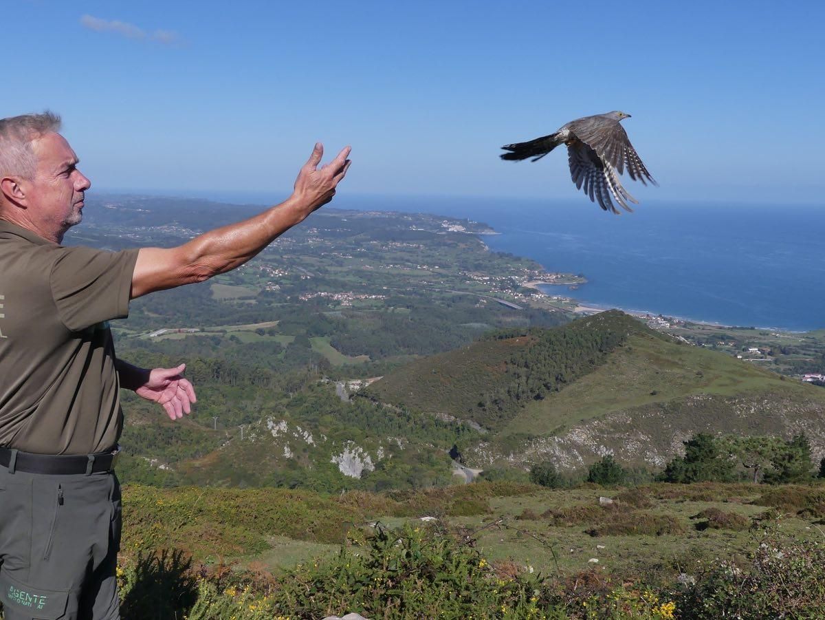 Los "pacientes" del HUCA de los animales de Asturias