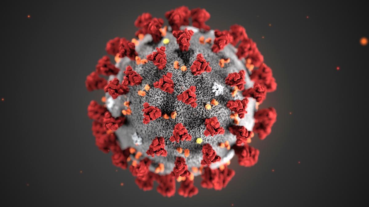 Durchaus ästhetisch: Grafik des Modells eines Coronavirus.