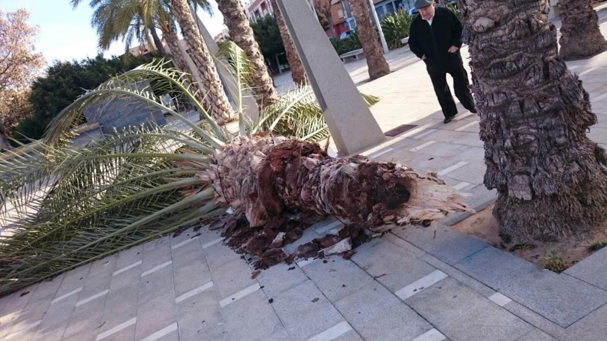Fuertes rachas de viento causan destrozos en toda