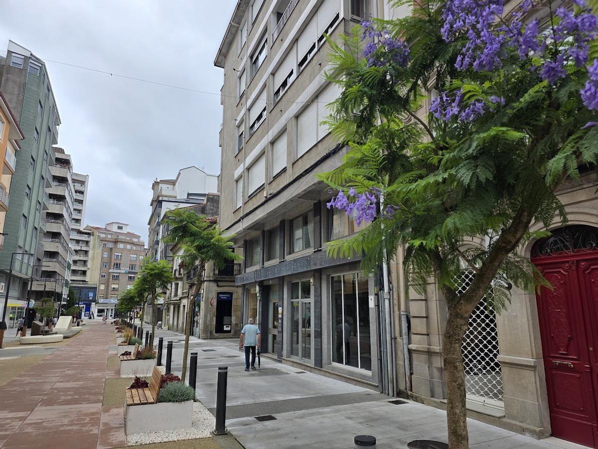Las jacarandas de Clara Campoamor.