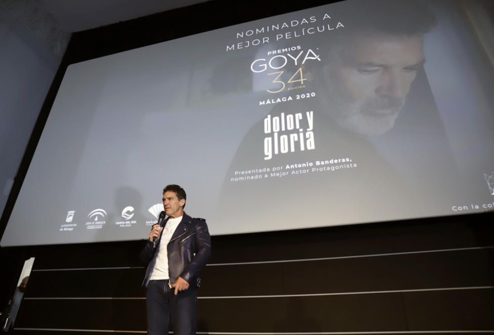 Antonio Banderas presenta 'Dolor y gloria' en Málaga tras ser nominado al Oscar