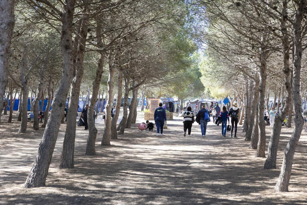 Vuelve el día de mona en Lo Albentosa. Aquí las imágenes del día de campo