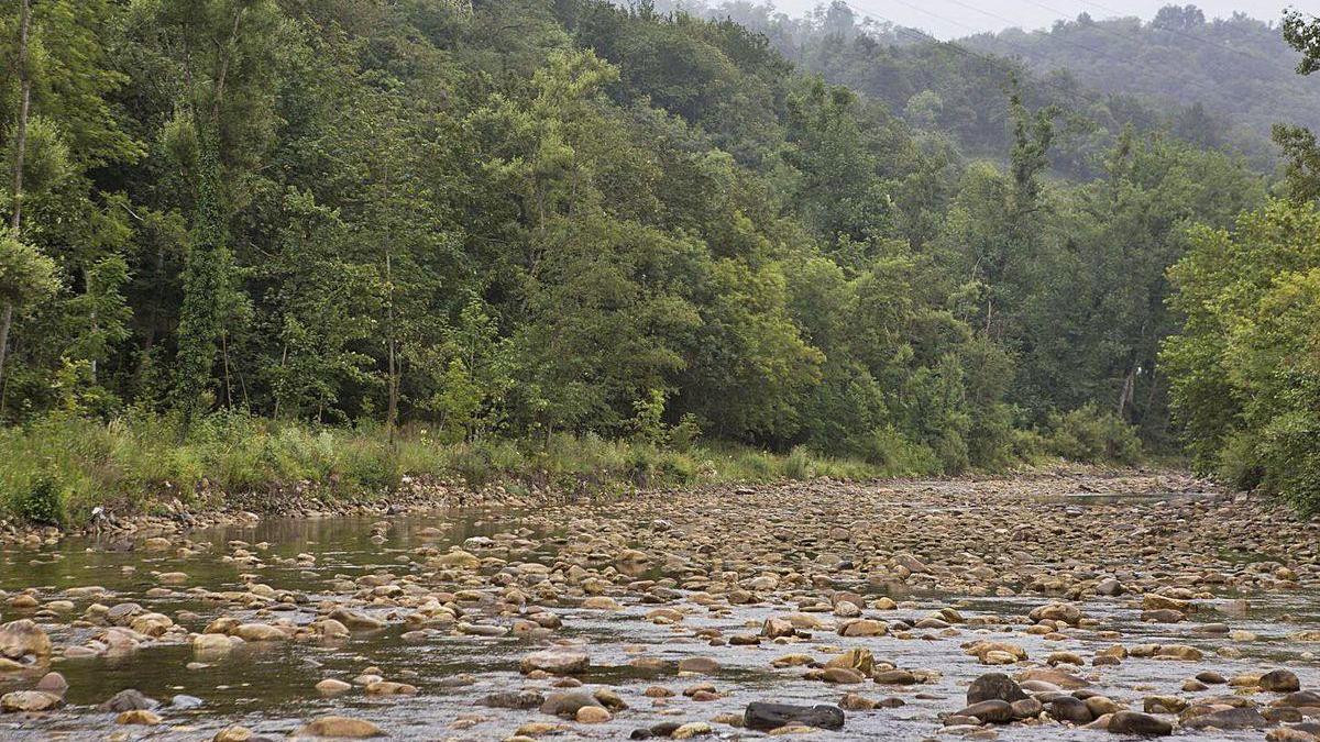 Los pescadores alertan de que el Nalón &quot;apenas tiene agua&quot;