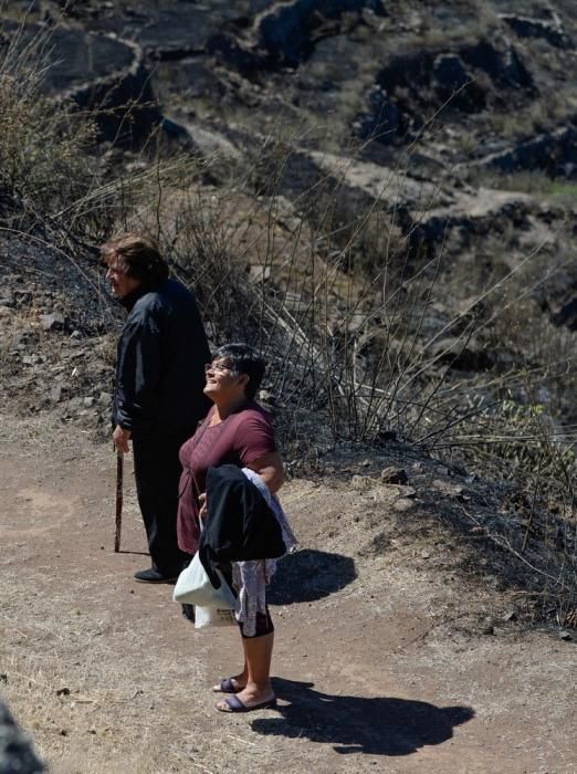 Incendio en Gran Canaria | Zonas afectadas en las medianías de Gáldar y en Artenara