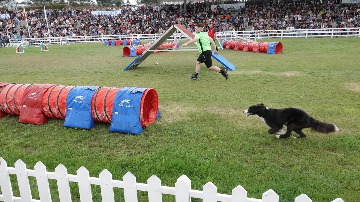 Actividades caninas en Abanca Semana Verde 2023