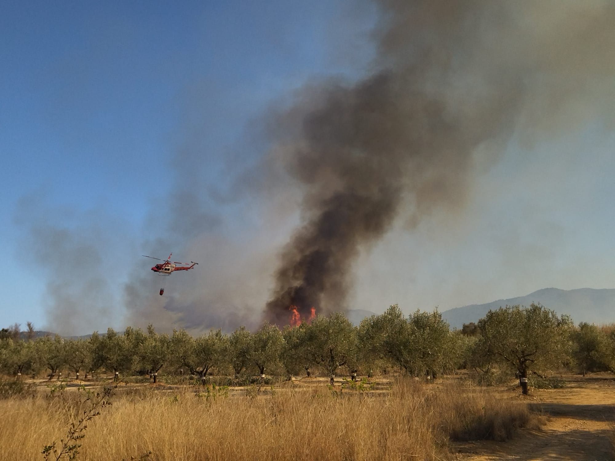 Las imágenes del virulento incendio de Xàbia