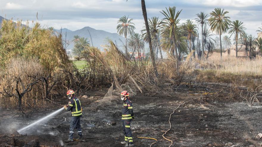 El Consell prohíbe quemas agrícolas en enero ante la extrema sequedad en los montes