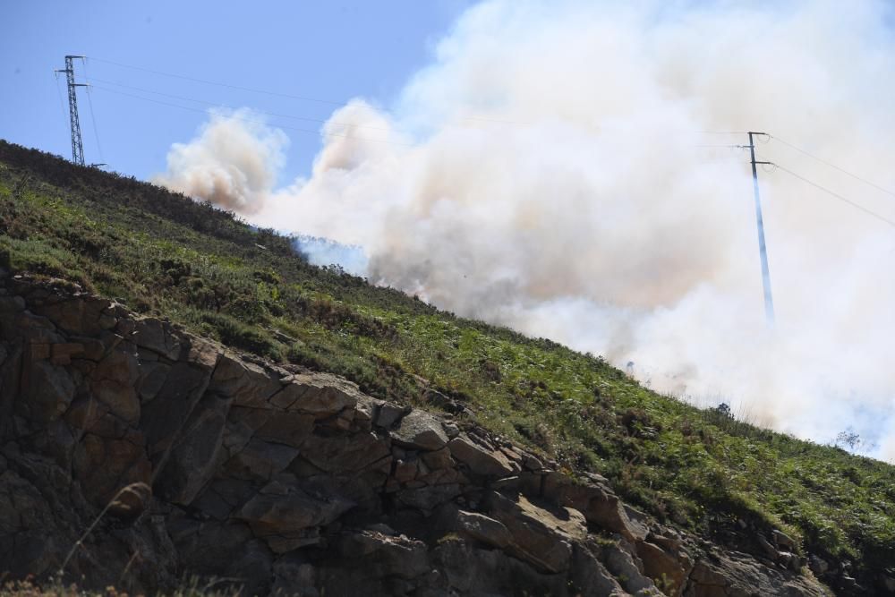 El humo se ha podido ver desde varios puntos de la ciudad. Se han visto afectadas entre cinco y seis hectáreas.