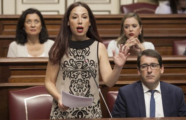 18/04/2017.CANARIAS POLITICA.Pleno del Parlamento de Canarias..Fotos: Carsten W. Lauritsen