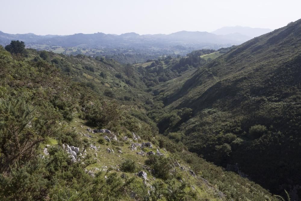 Las rutas por Asturias: las foces del río Pendón