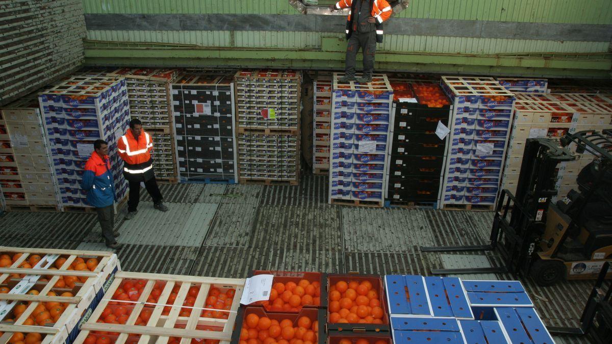 El control sanitario a las naranjas sudafricanas entrará en vigor el 24 de junio.