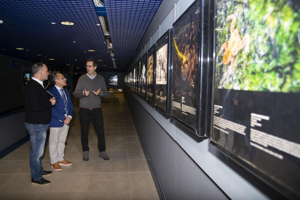 La exposición Fotógrafos da Natureza 2019, que reúne las imágenes premiadas en el concurso European Wildlife Photographer of the Year, invita a reflexionar sobre los problemas ambientales.