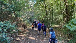 Excursión en los alrededores de Barcelona con Collserola Camina.