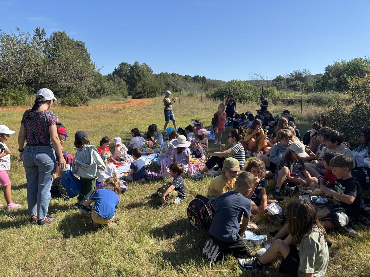Almuerzo en el campo