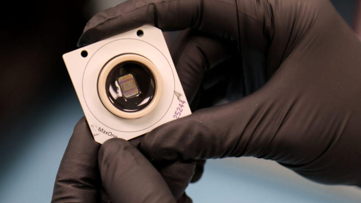 Los organoides cerebrales aprenden a resolver el péndulo invertido: avance en aprendizaje dirigido.