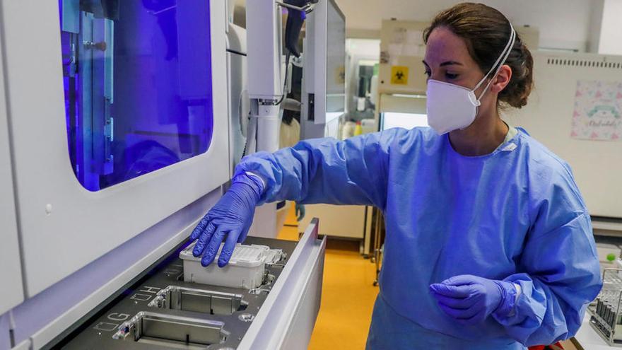 Personal sanitari treballant en un laboratori