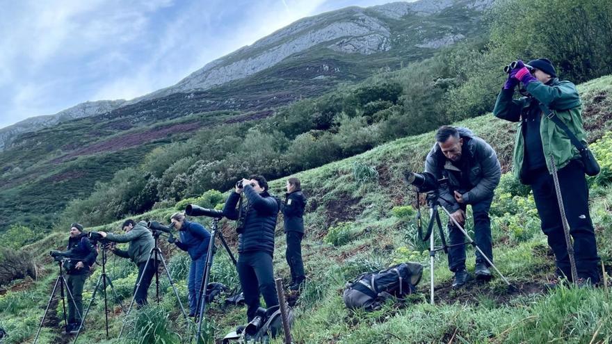 Andorra se fija en Asturias para la gestión de los osos: su ministro de Medio Ambiente busca en Somiedo fórmulas para integrar la fauna salvaje y la ganadería