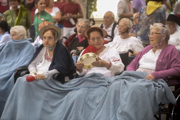 DIA DEL PINO EN EL CENTRO SOCIOSANITARIO DE EL ...